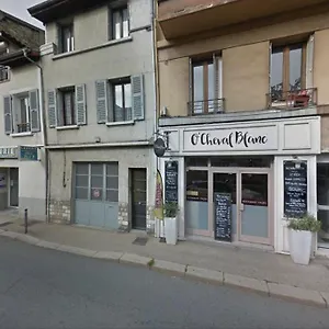 Appartement Immeuble De Charme La Tronche, La Tronche (Isere)